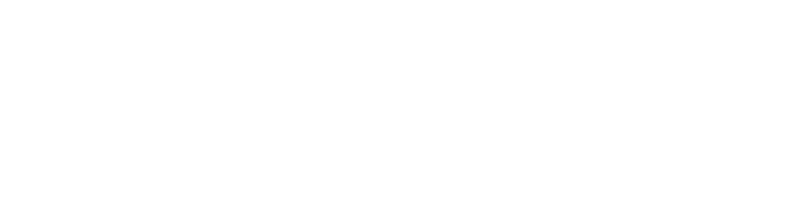 STA White Logo