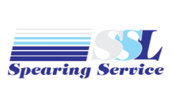 Spearing service